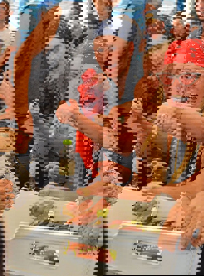 238172937 4230451877002674 7555029321925218974 N