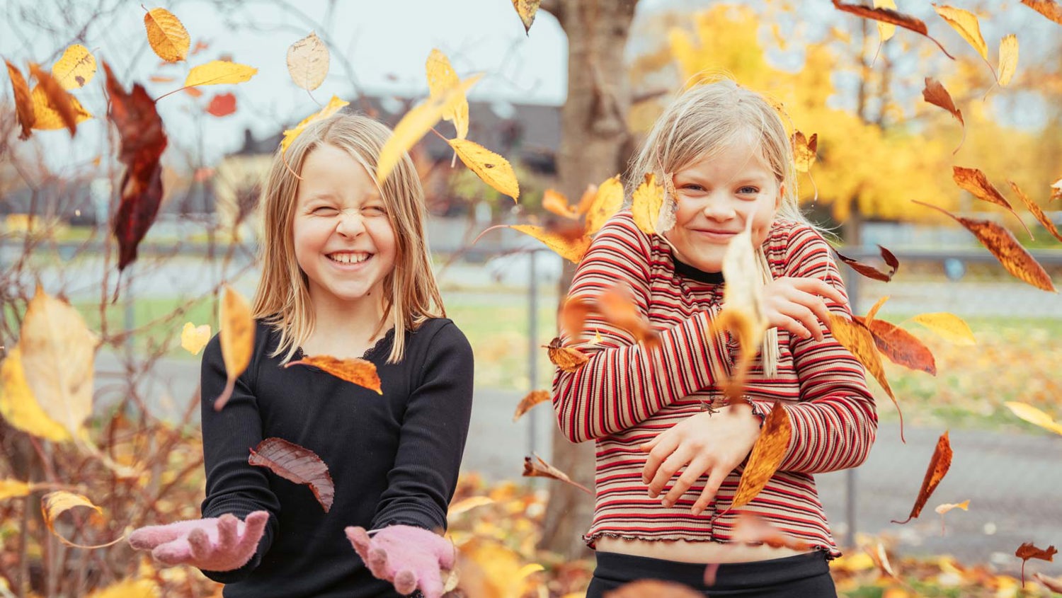 Kruses Skole V2 (82 Of 88)