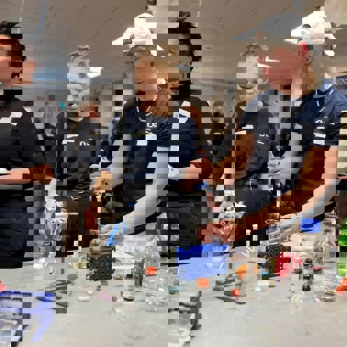 326527076 1630549230730587 4881561638716459857 N