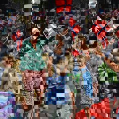 236948950 4755658587790237 6244536658781757935 N